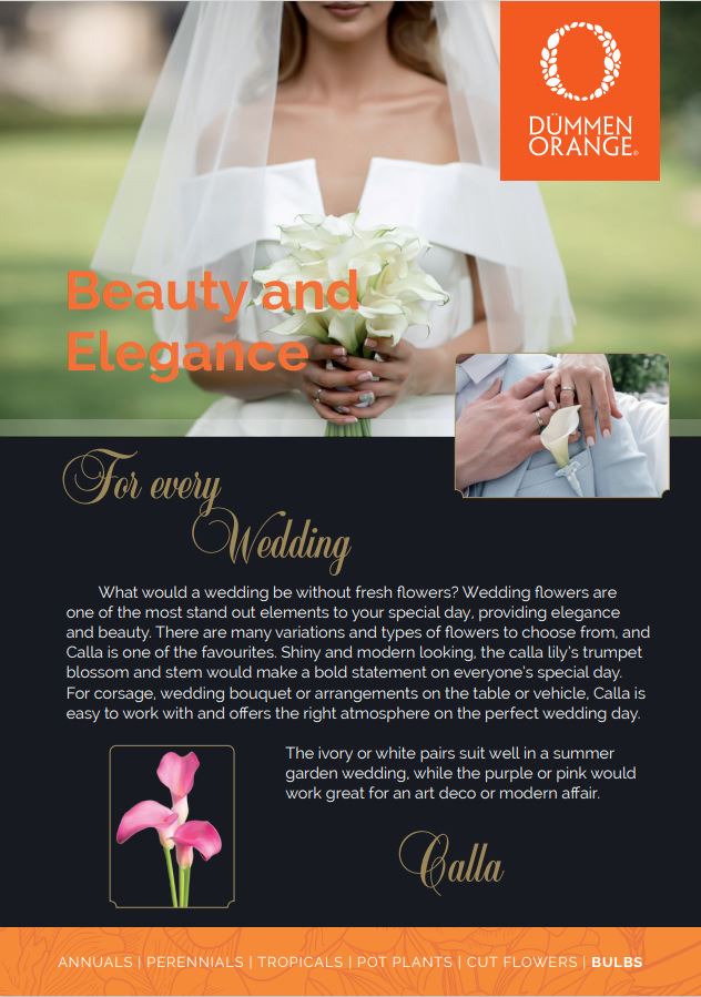 Beauty and Elegance for every Wedding