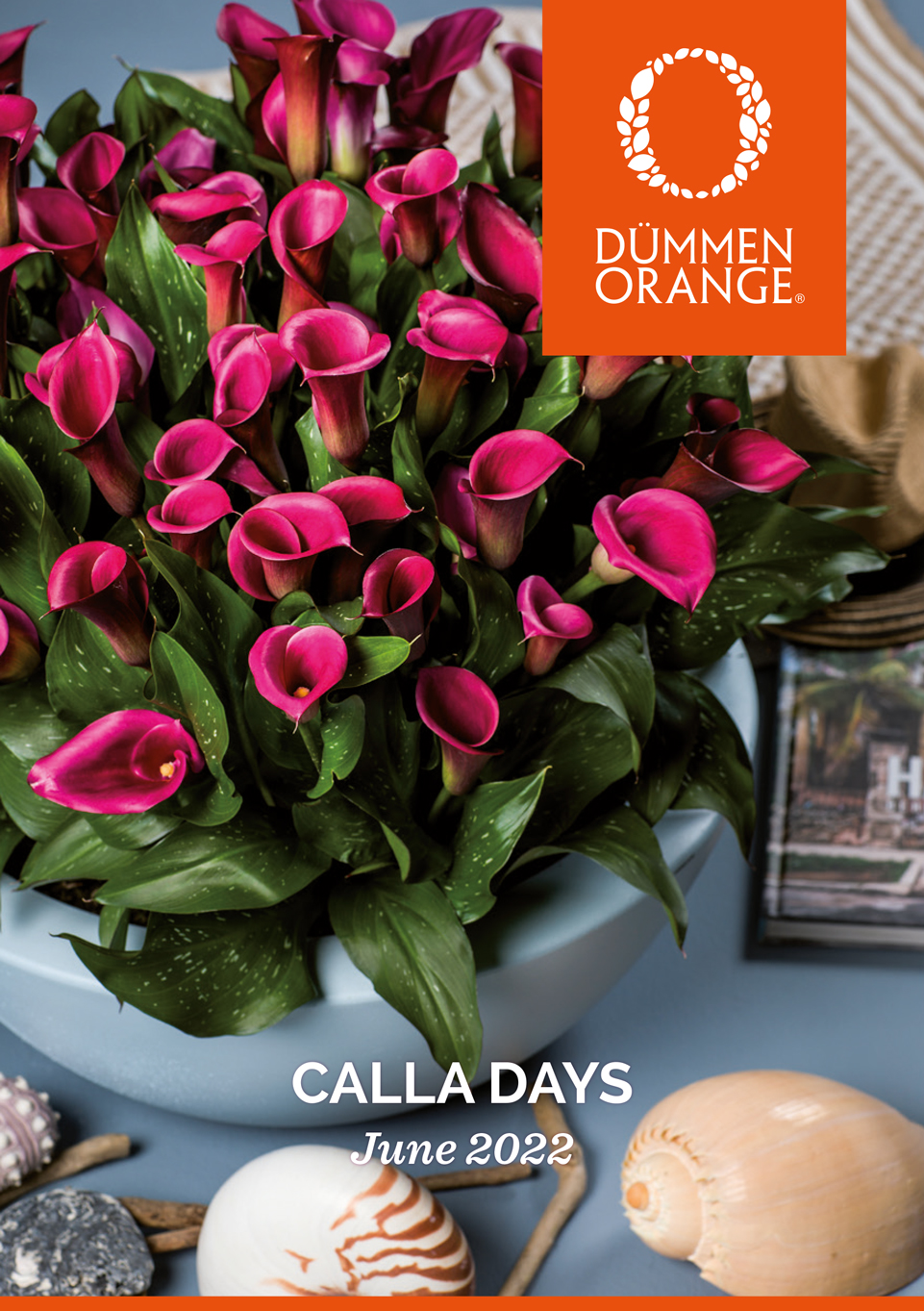 Open Calla Days 2022