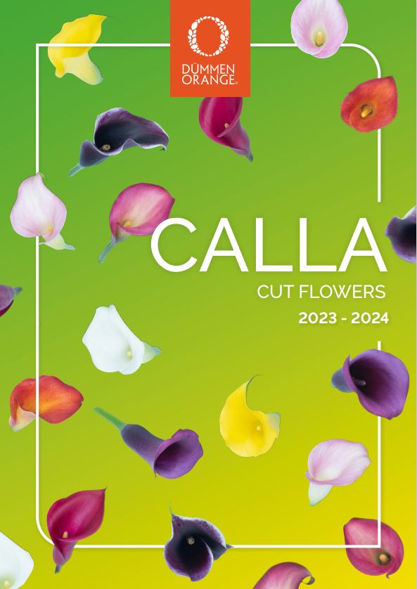 New Calla brochures cut flowers 2023 - 2024