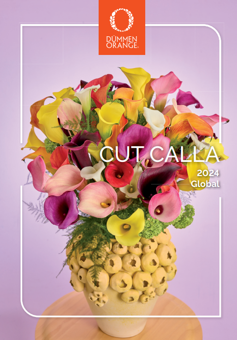 New Calla brochures cut flowers 2024 - 2025