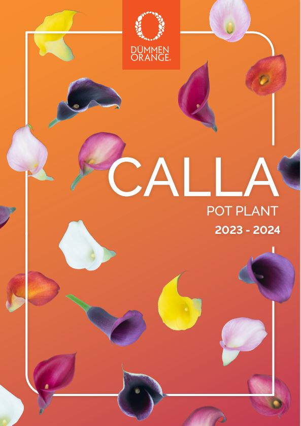 New Calla brochures pot plants 2023 - 2024