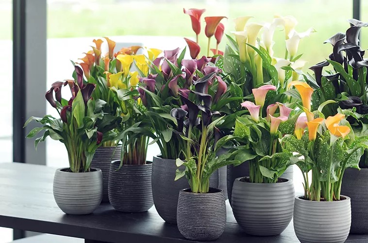 Visit us on Cultivate Ohio