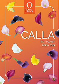Calla brochure Pot Plants 2023-2024